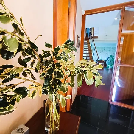 Semesterbostad Mardecies De Vacaciones